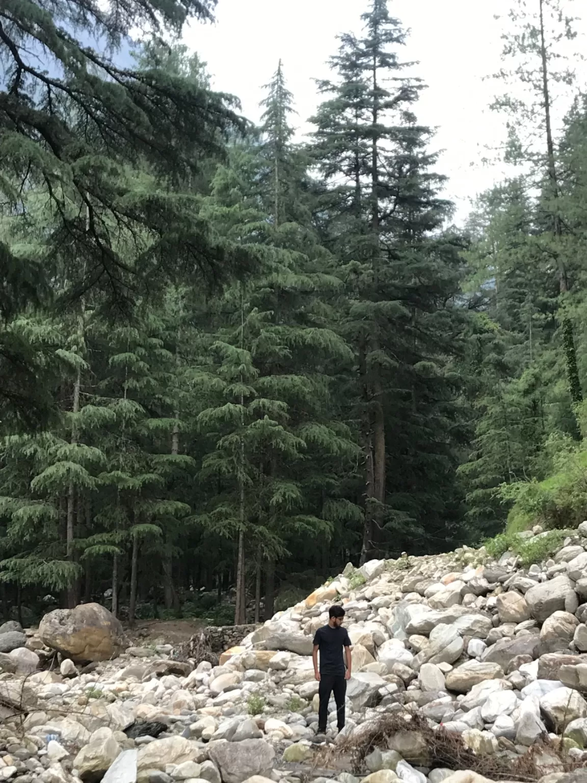 Photo of Kasol By Kshitij Gulati
