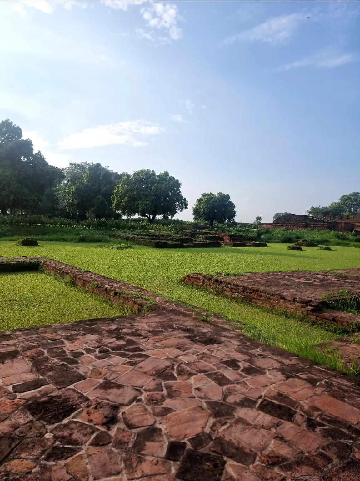 Photo of Nalanda By CA Atika Agrawal Fatepuriya