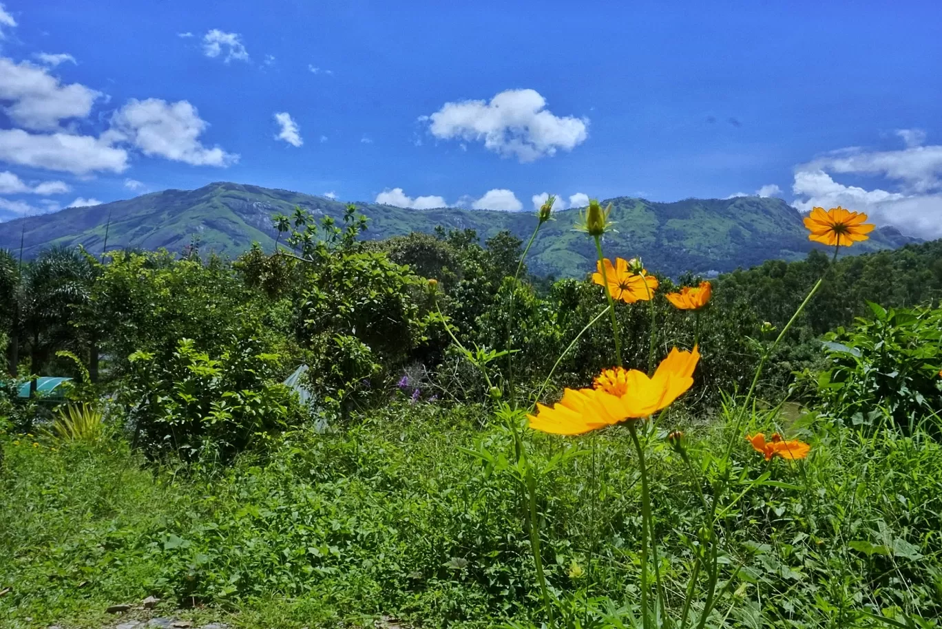 Photo of Munnar By Julie Chowdhury