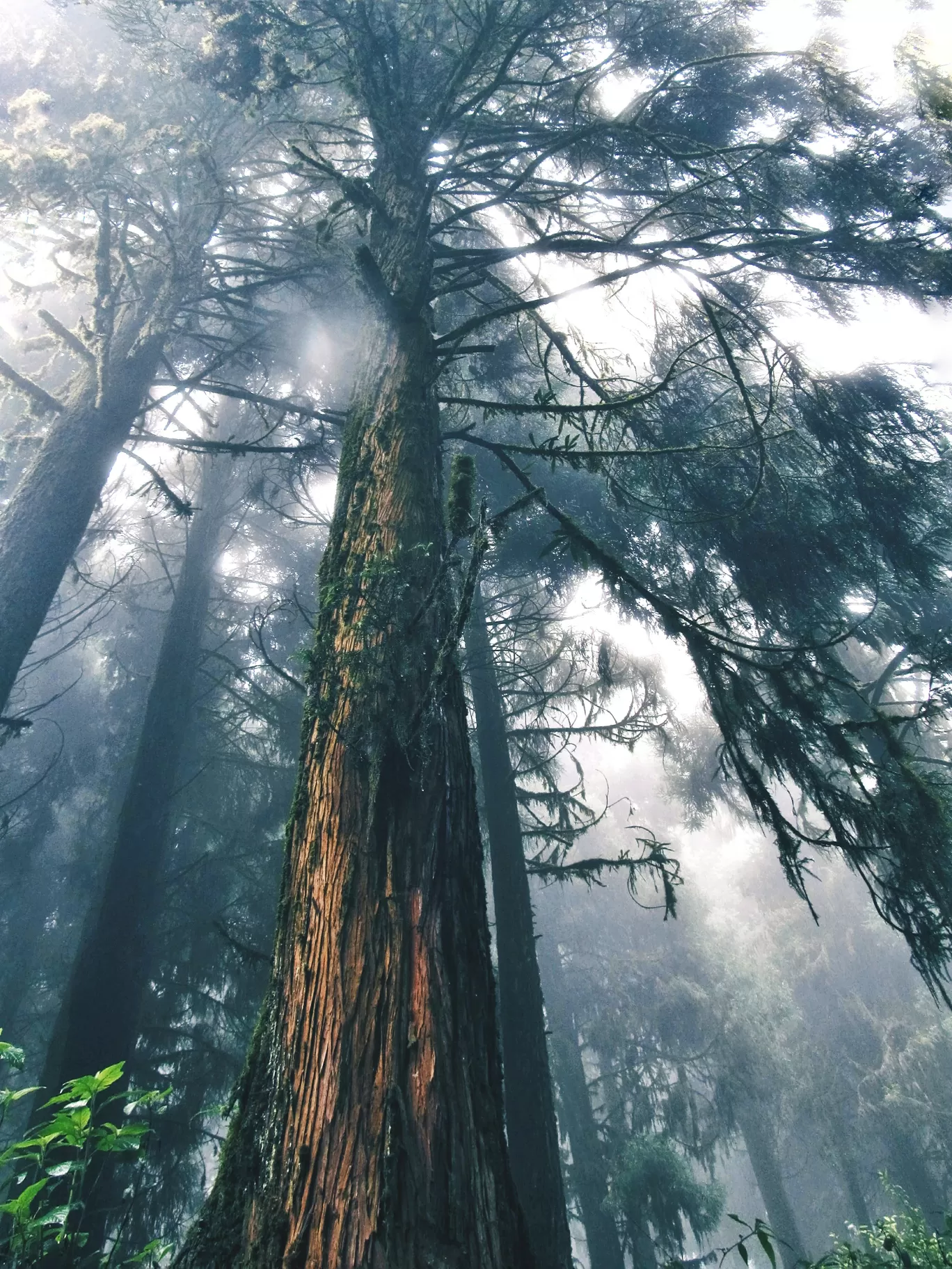 Photo of Lolegaon By Ankur Dey