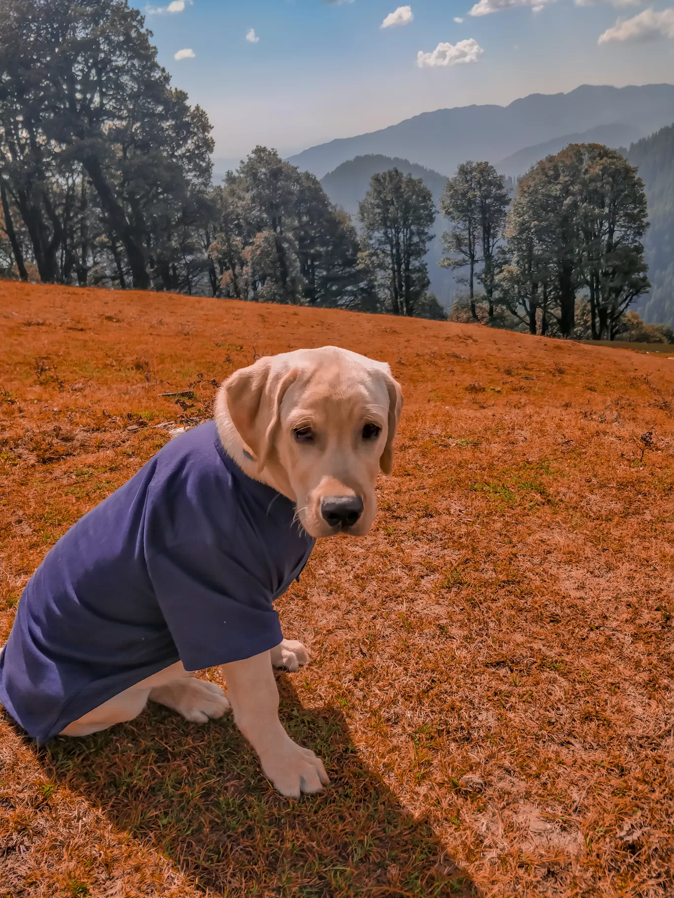 Photo of Himachal Pradesh By Pratham Sharma