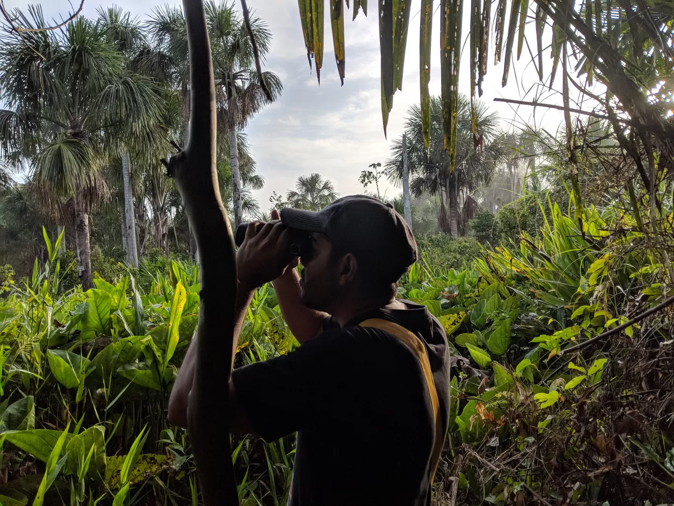 Photo of Tambopata National Reserve By Tanushree Das