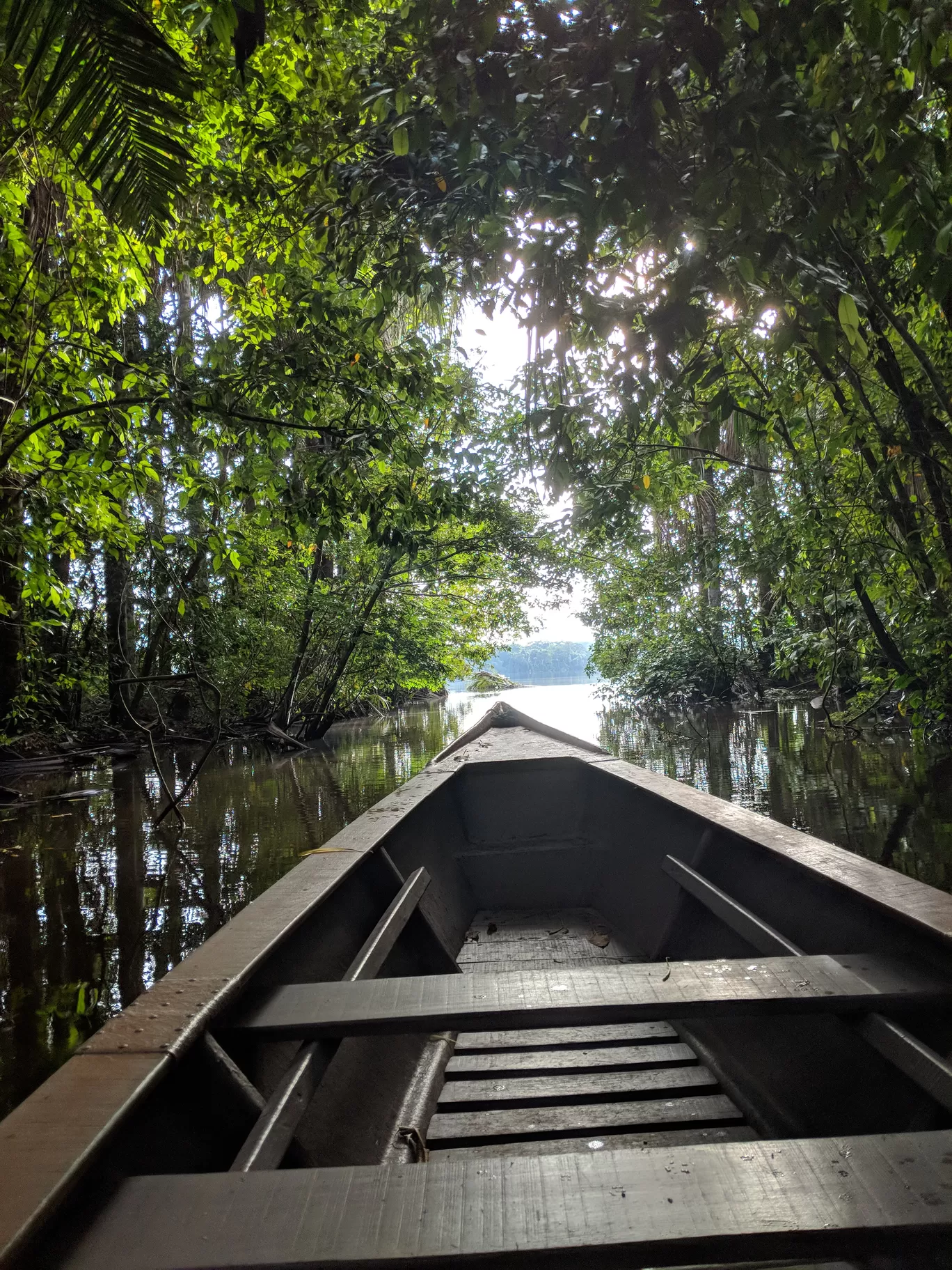 Photo of Tambopata National Reserve By Tanushree Das