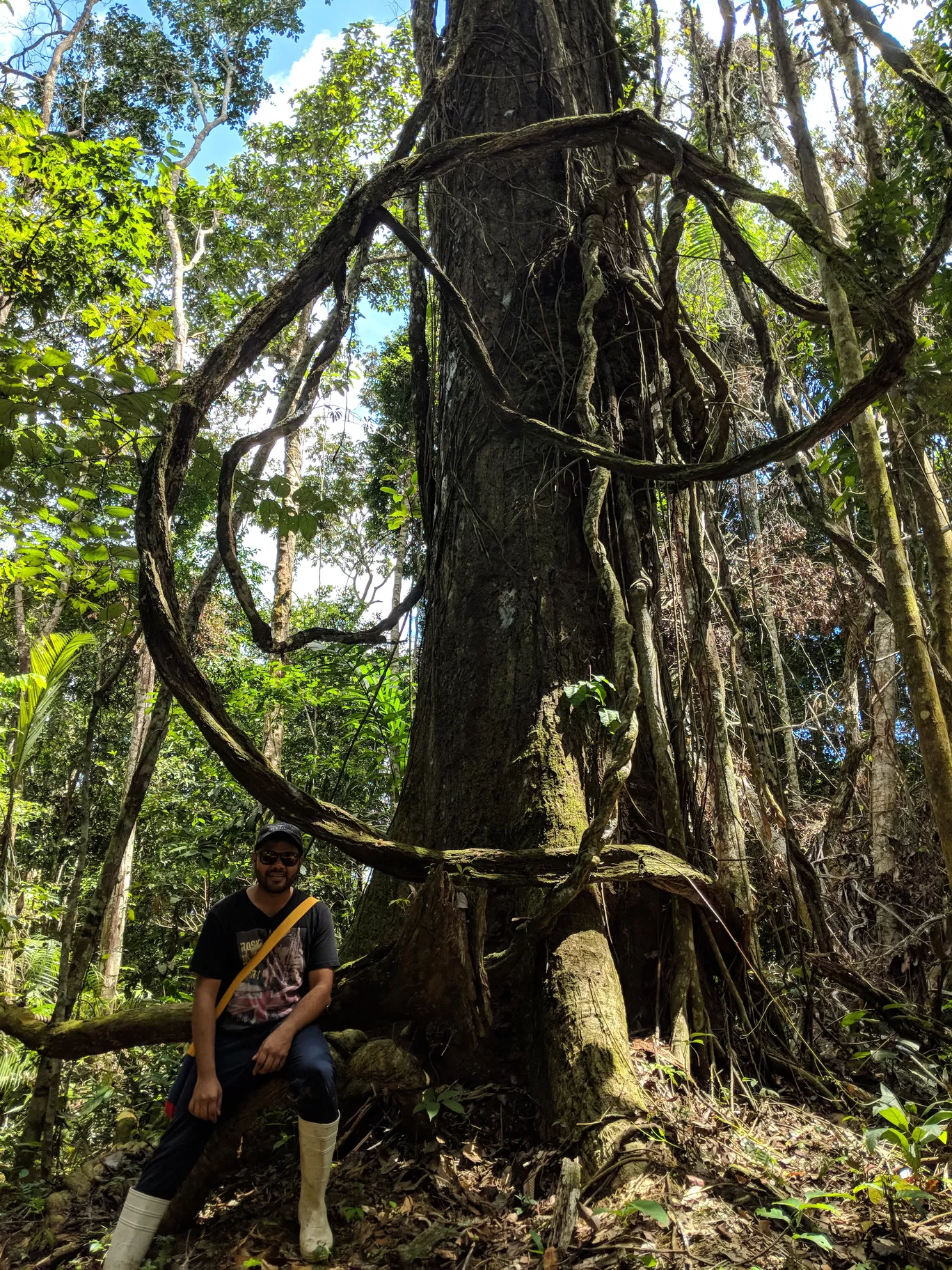 Photo of Tambopata National Reserve By Tanushree Das