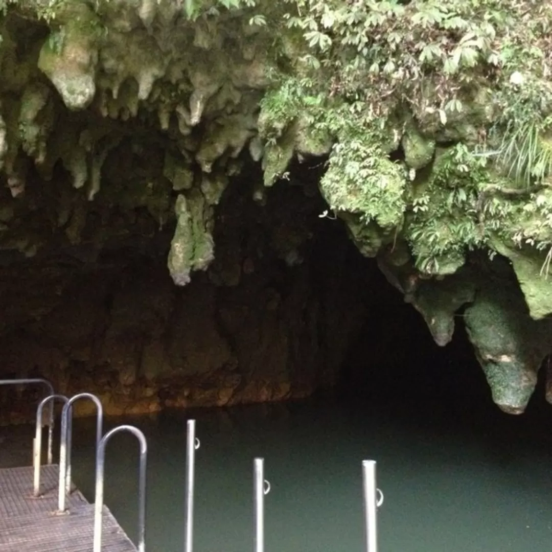 Photo of Waitomo Glowworm Caves By M.S.V......