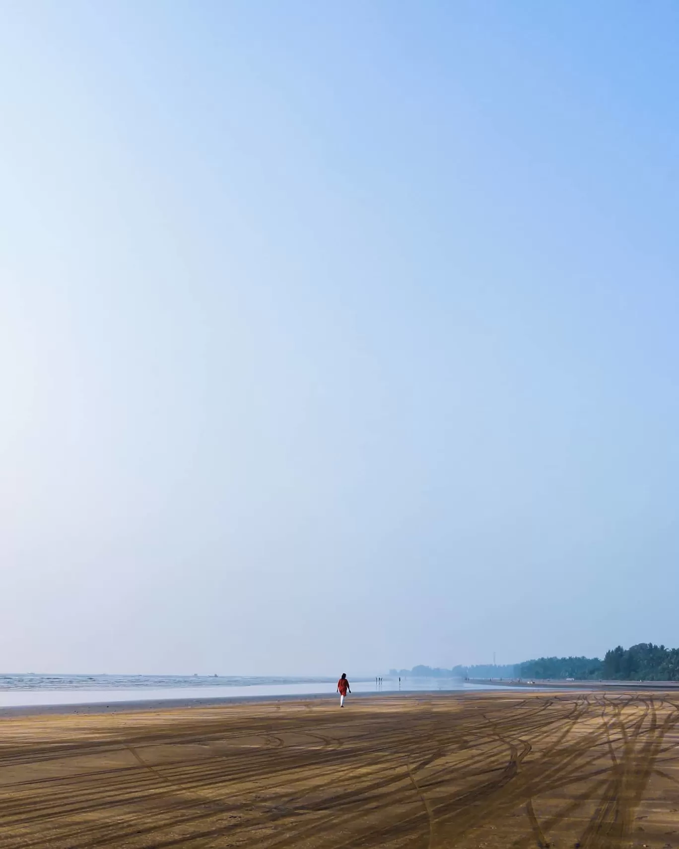 Photo of चिन्चनी By Brijal Raut