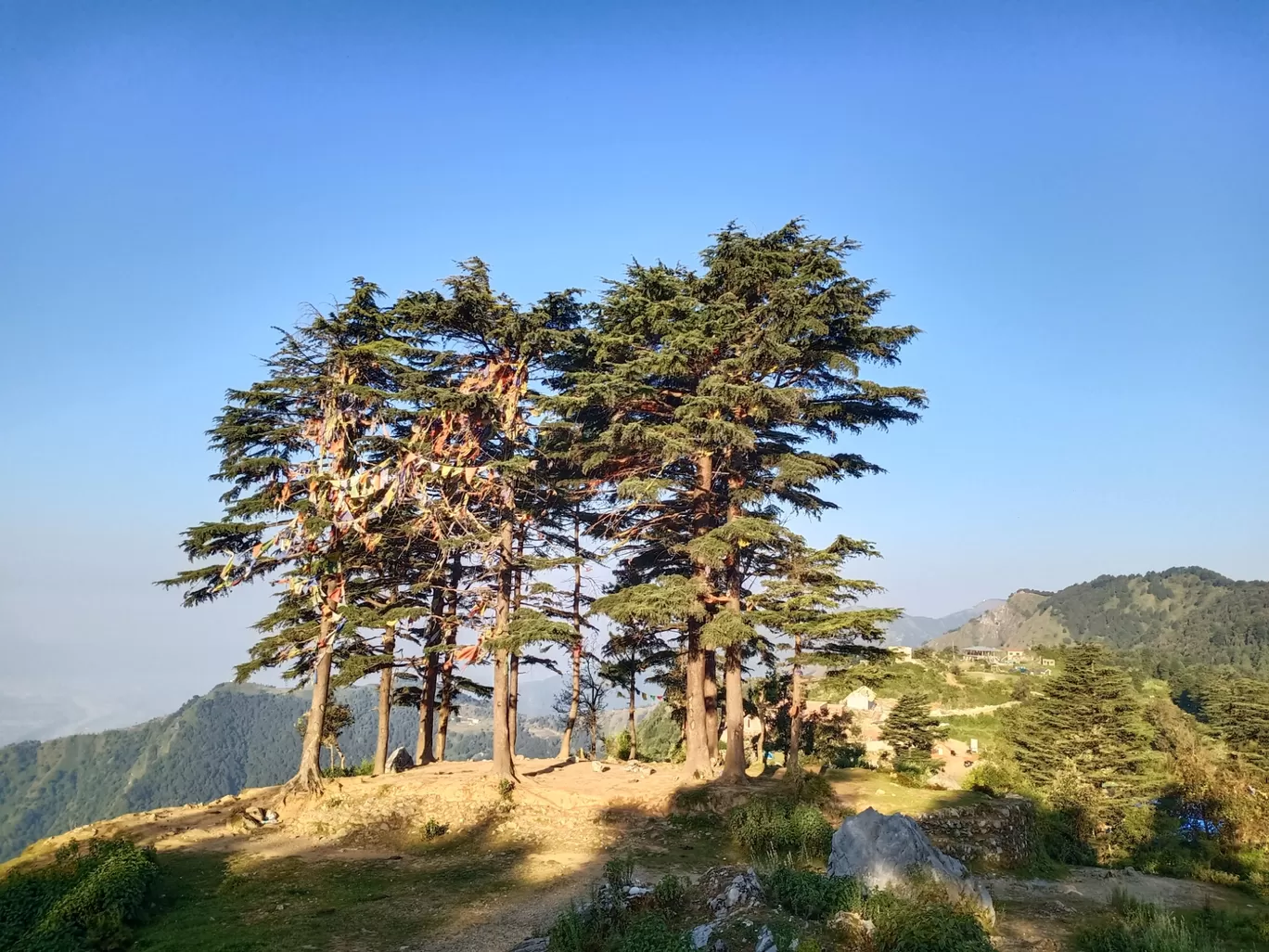 Photo of George Everest Peak By Neha Mehra