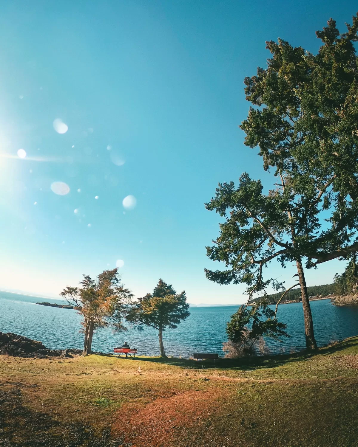 Photo of Friday Harbor By riddhidebh