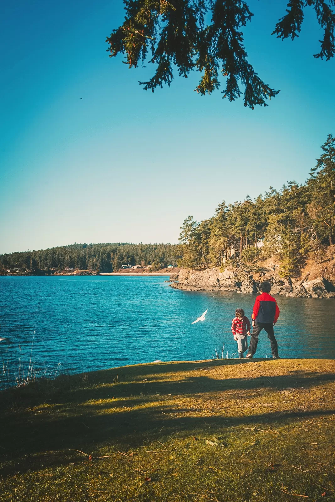 Photo of Friday Harbor By riddhidebh
