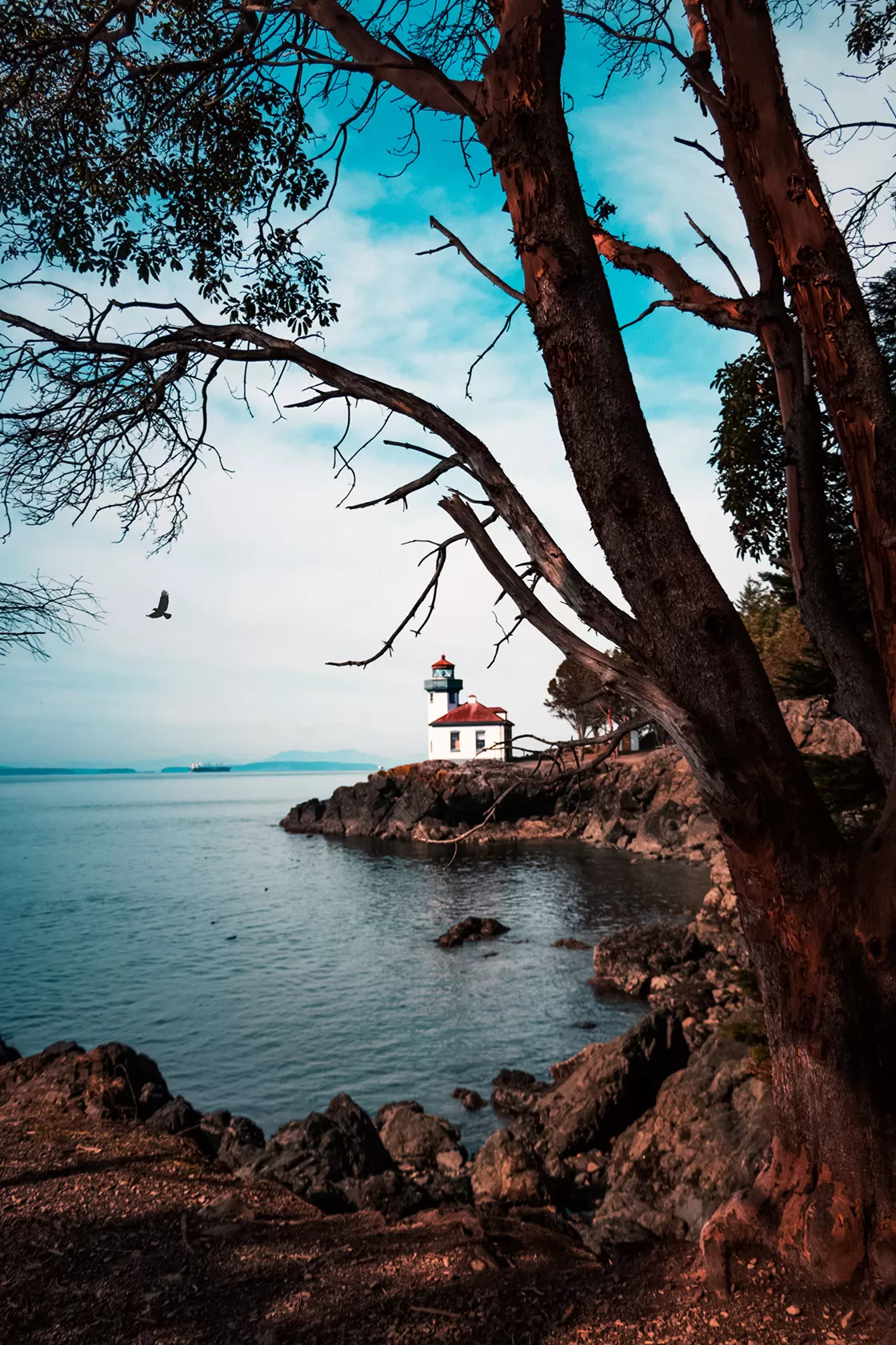 Photo of Friday Harbor By riddhidebh