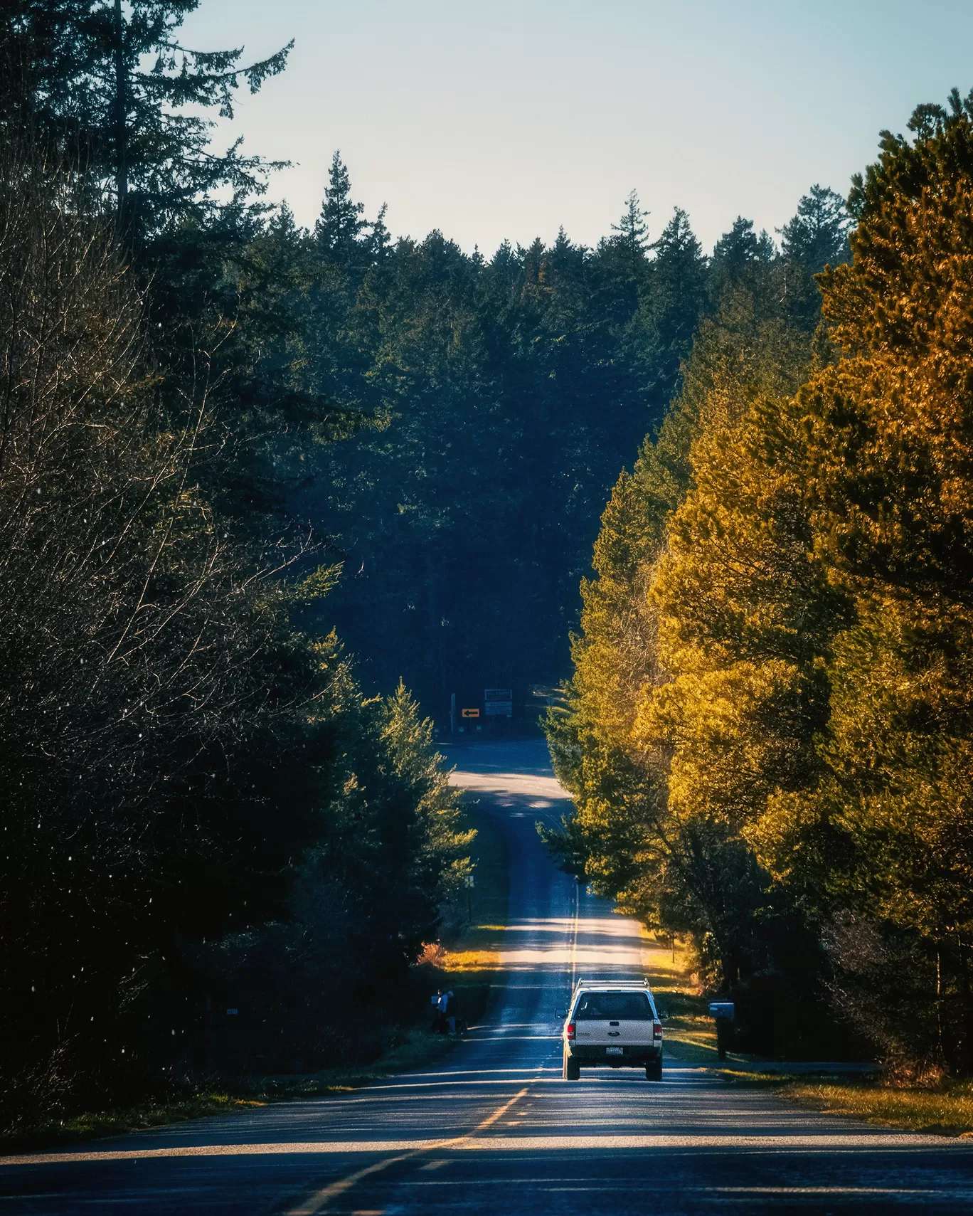 Photo of Friday Harbor By riddhidebh