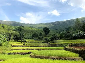 Photo of Deomali Mountain Peak By Anandita Pattnaik