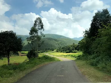 Photo of Deomali Mountain Peak By Anandita Pattnaik