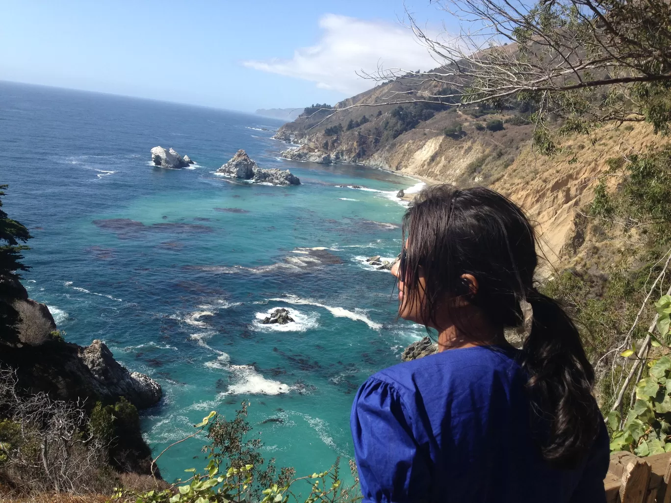 Photo of Big Sur By Anandita Pattnaik