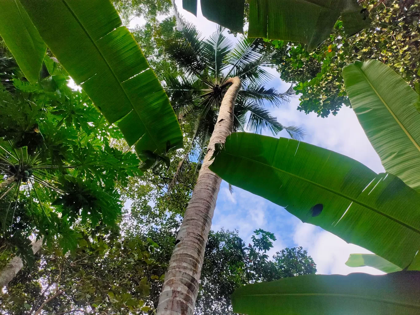 Photo of Pathanamthitta By Aksa Susan Abraham