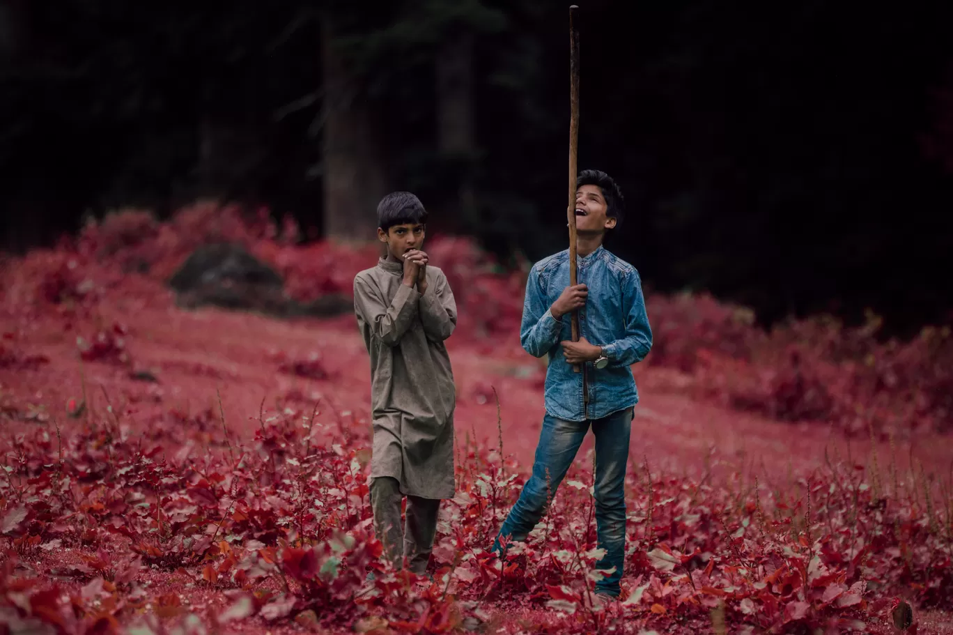 Photo of Jammu and Kashmir By Aman Alam