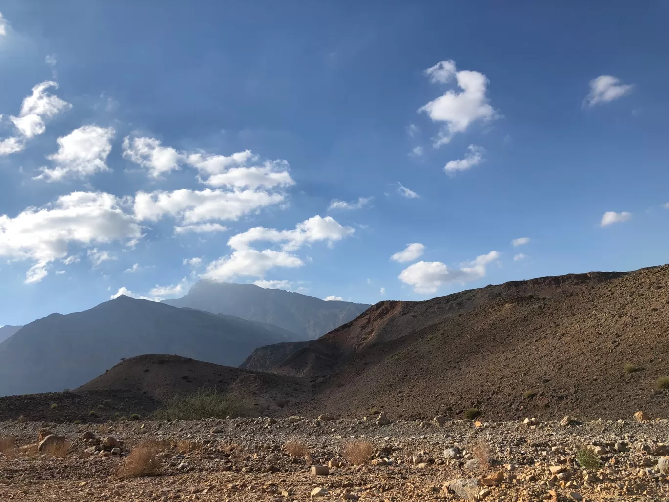 Photo of Muscat By Prabhu Kumar Dharanikota