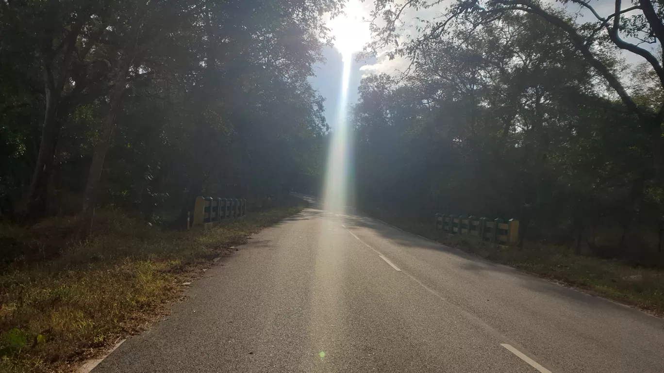 Photo of Hyd-kerala-west coast- guj-mp 5000km Activa trip By Prabhu Kumar Dharanikota