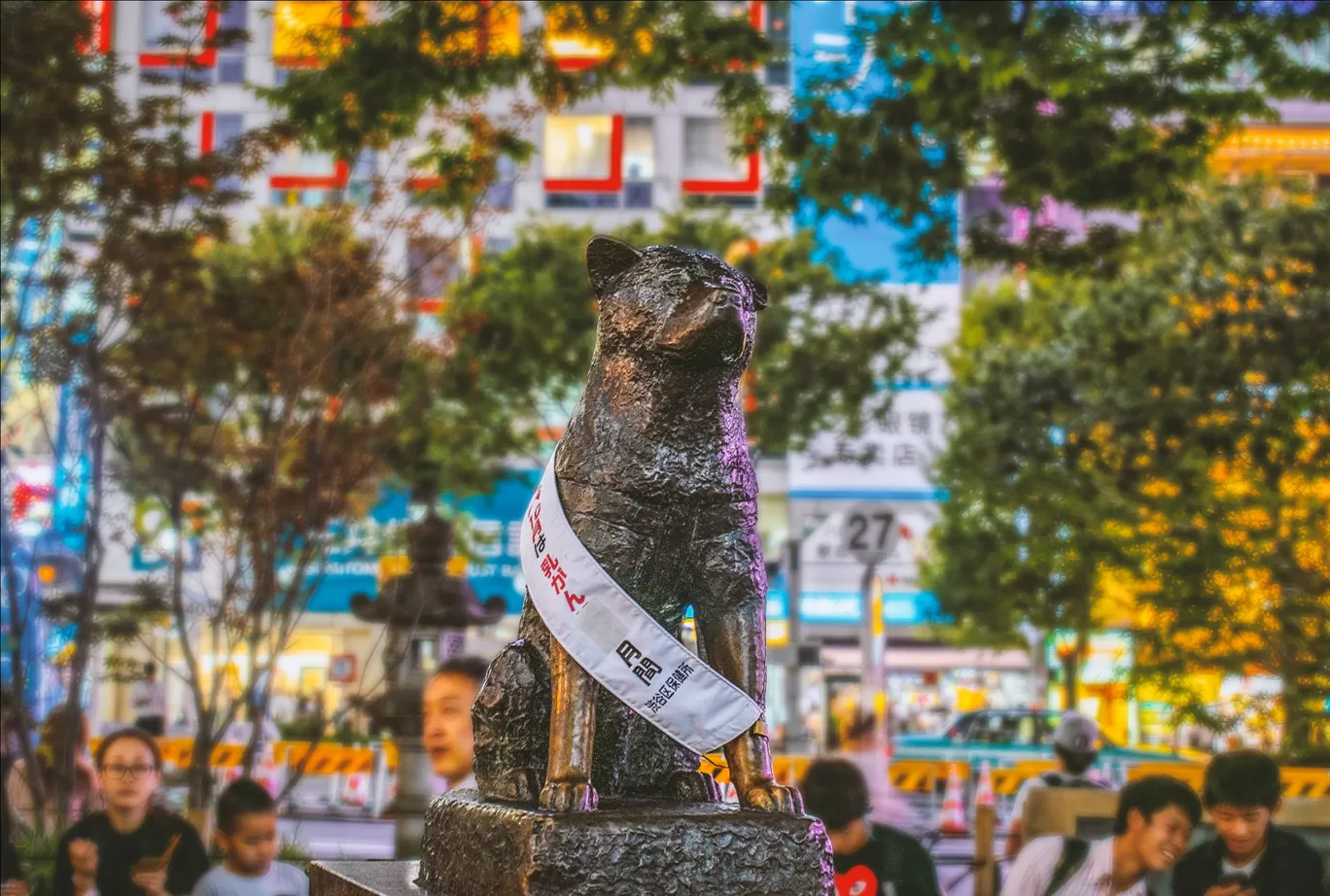 Photo of Tokyo By The Moonchasers