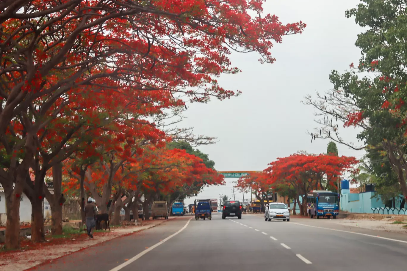 Photo of Ooty By Tanuj Chilwal