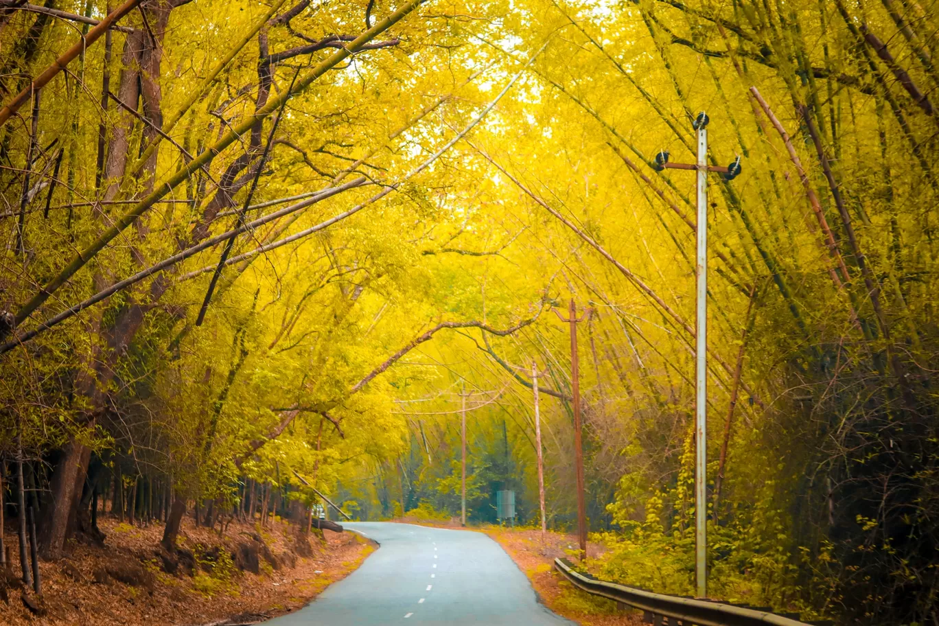 Photo of Ooty By Tanuj Chilwal