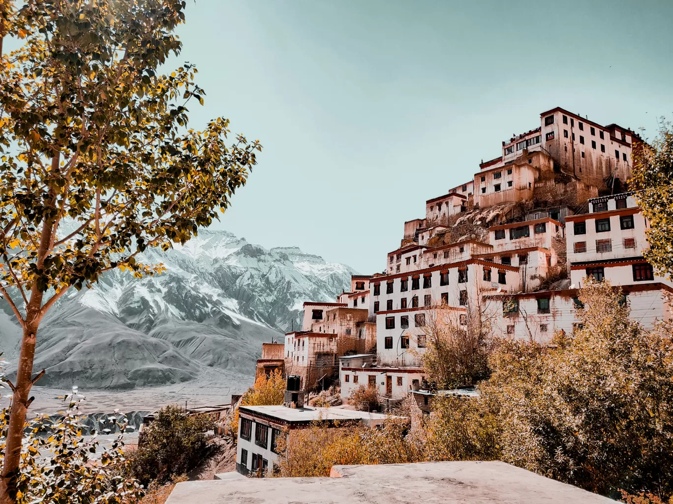 Photo of Key Gompa By Varun Sinha