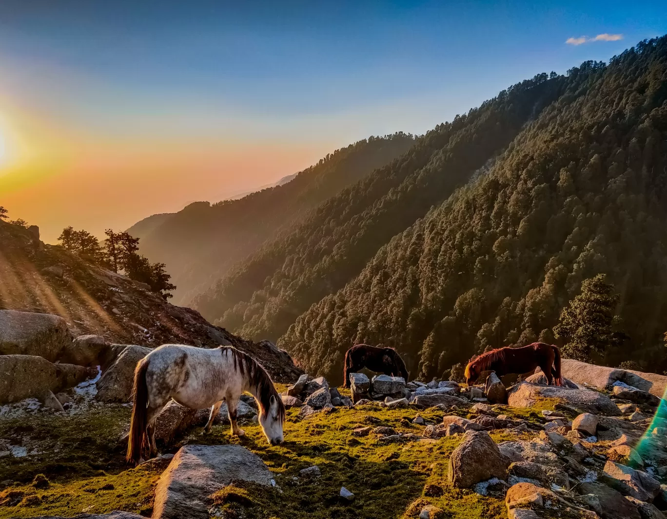Photo of Indrahar Pass By Varun Sinha