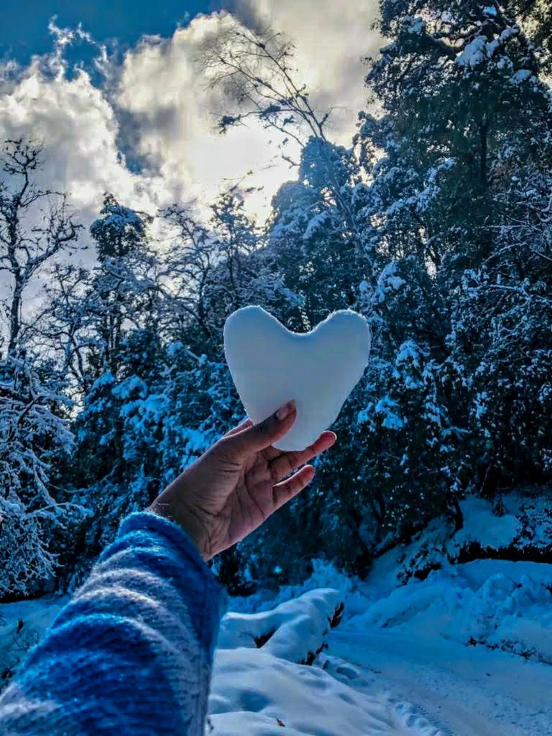 Photo of Chopta By Niyati Saxena (migrantmusings)