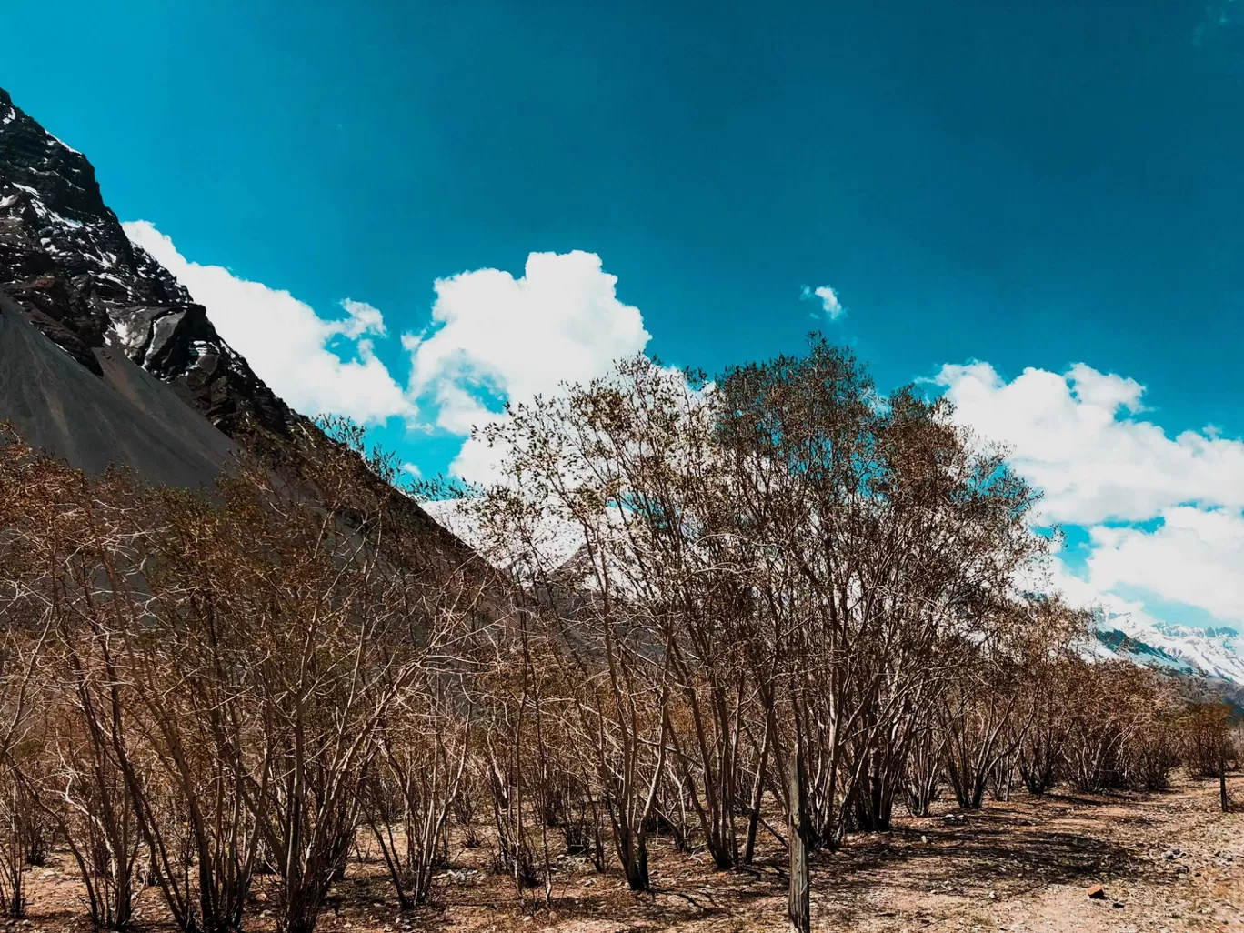 Photo of Gramphu-Batal-Kaza Road By Poojan Desai