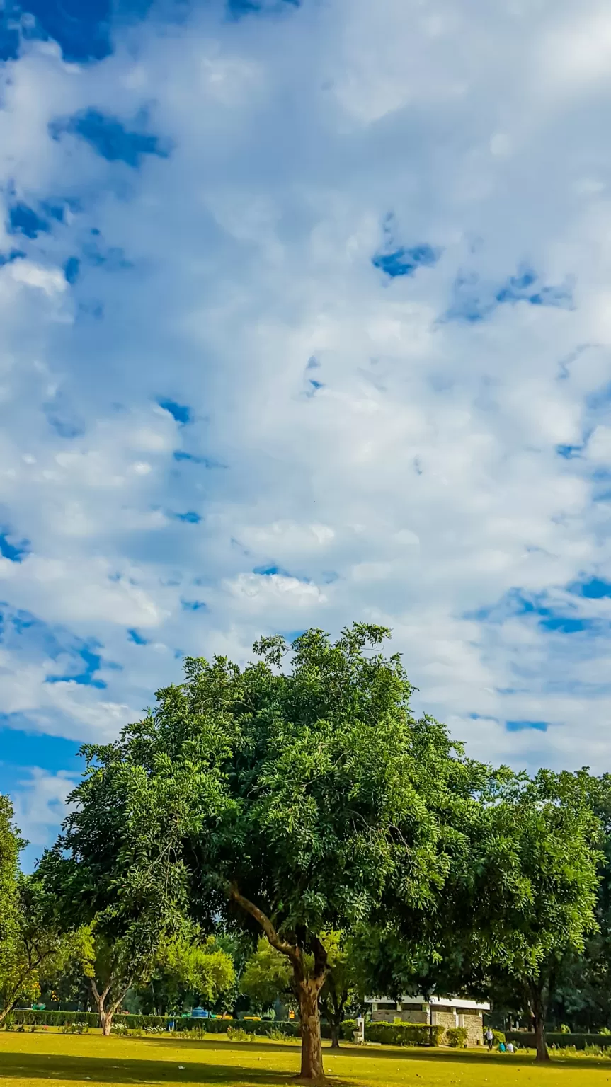 Photo of Rose Garden (Chandigarh) By Ankit Saxena