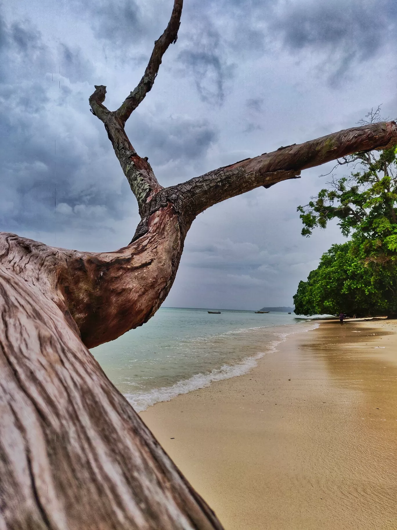 Photo of Havelock Island By Gyan Deepam
