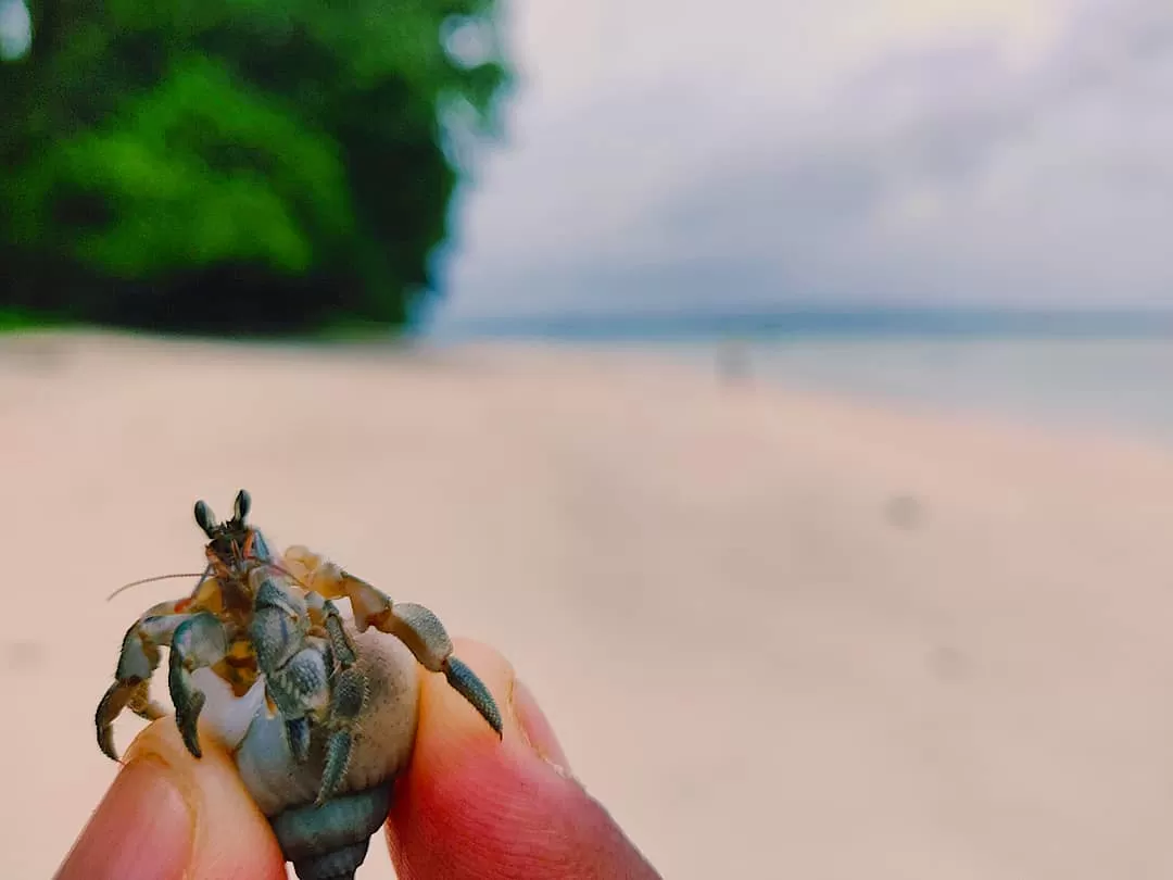 Photo of Havelock Island By Gyan Deepam