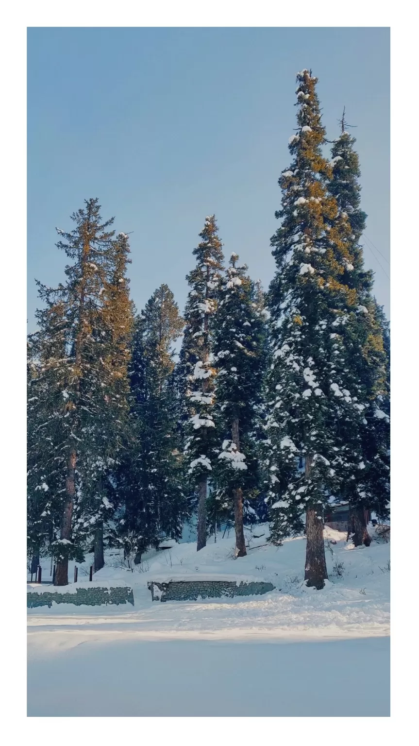 Photo of Jammu and Kashmir By Gyan Deepam