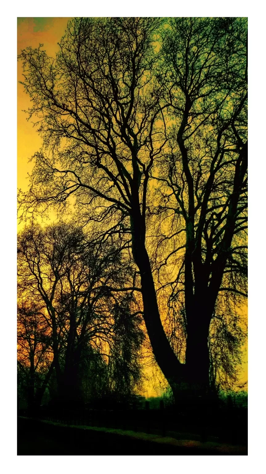 Photo of Jammu and Kashmir By Gyan Deepam
