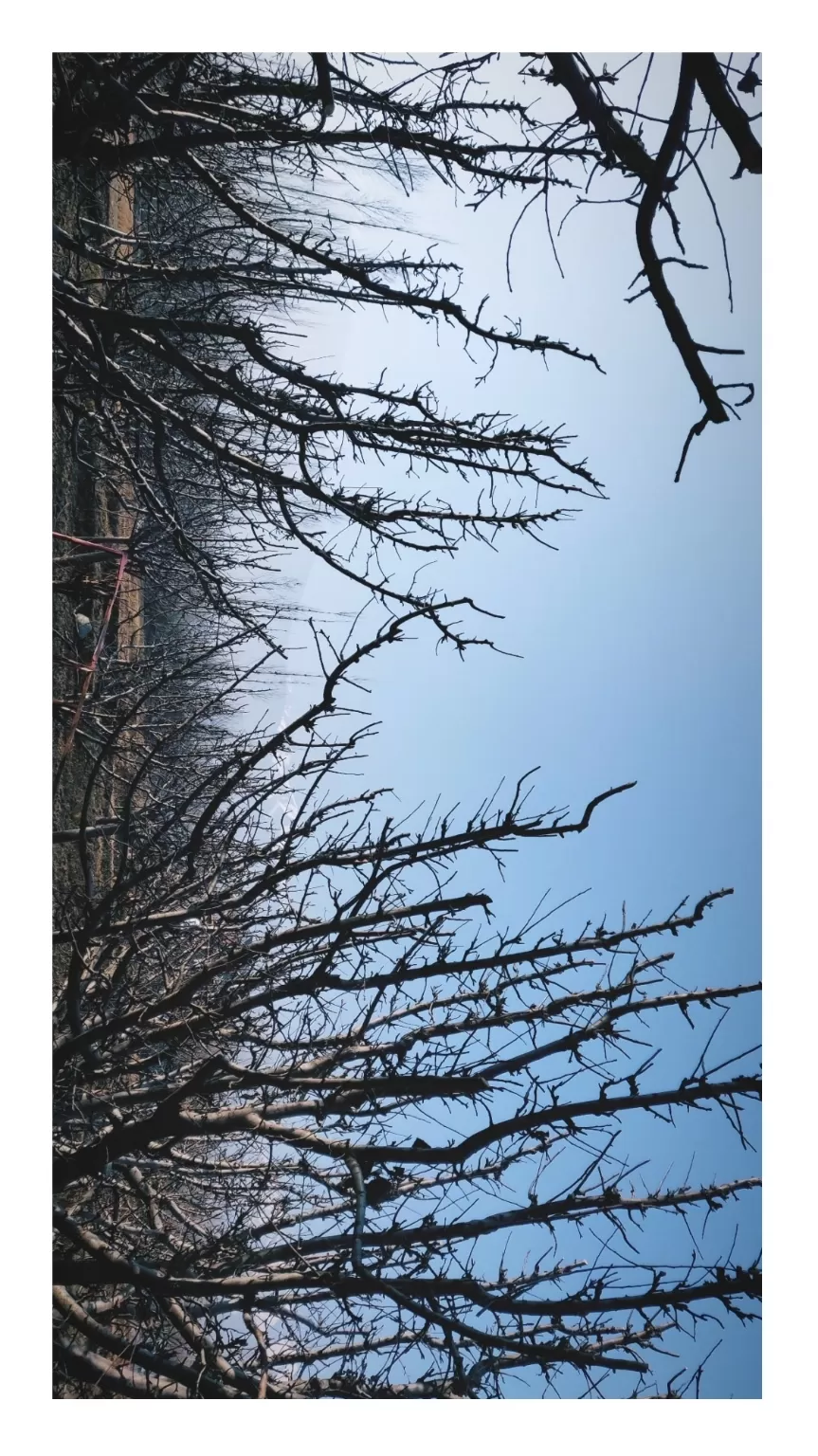 Photo of Jammu and Kashmir By Gyan Deepam