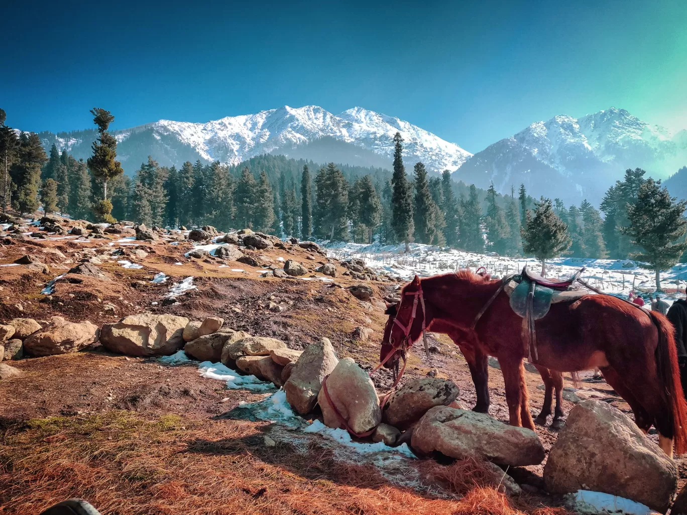Photo of Jammu and Kashmir By Gyan Deepam