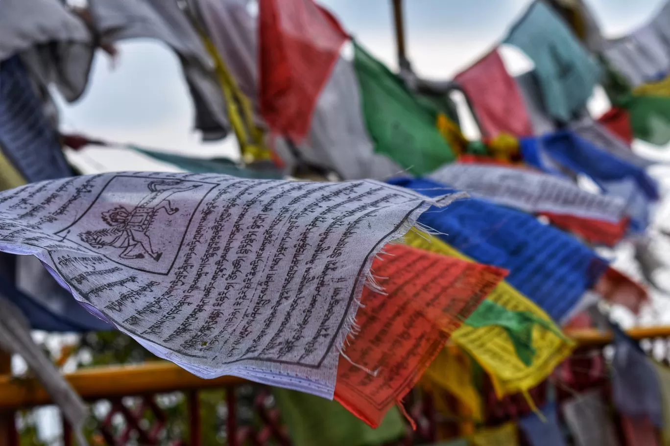 Photo of Pelling By Amarpreet