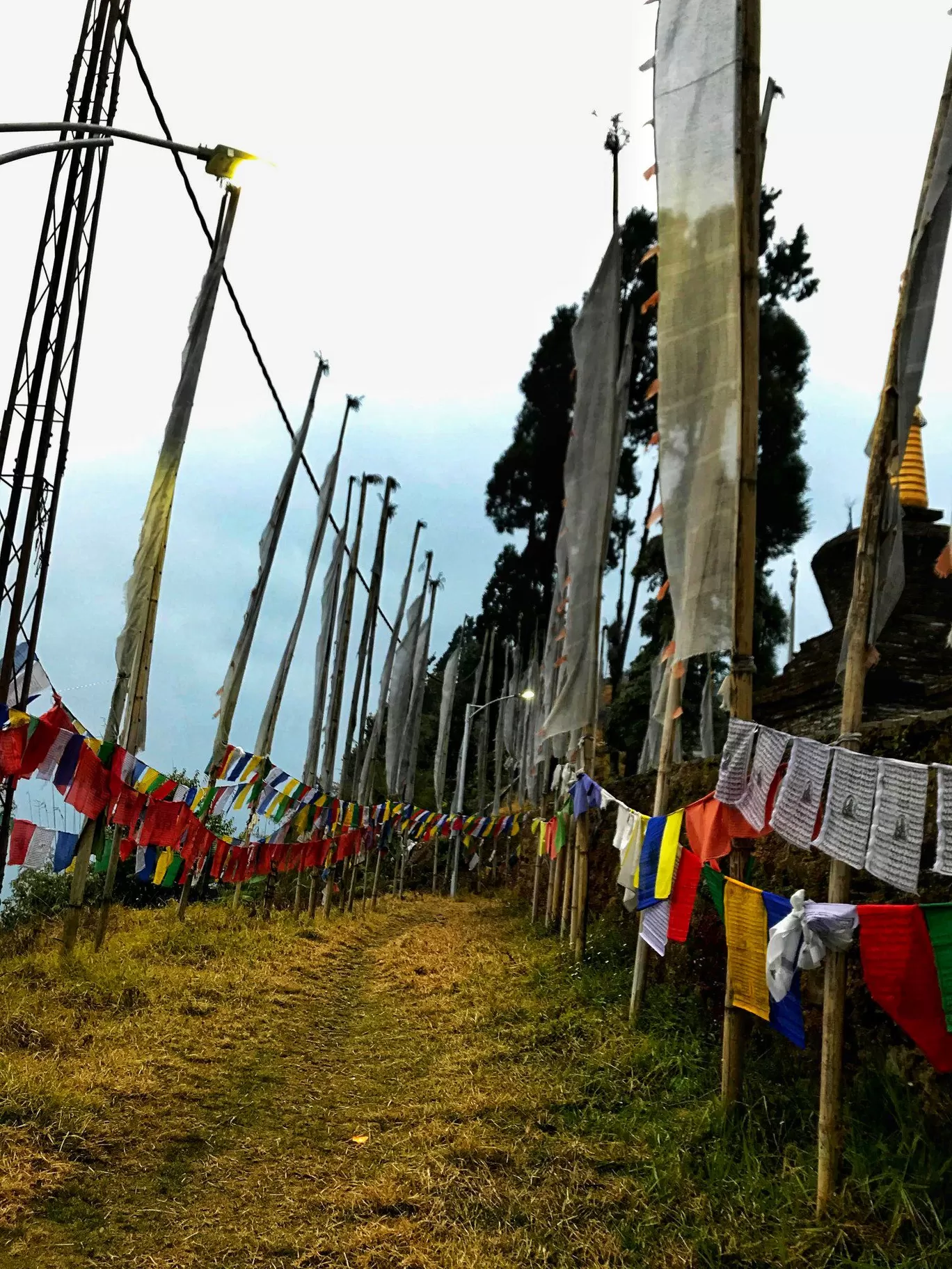 Photo of Pelling By Amarpreet