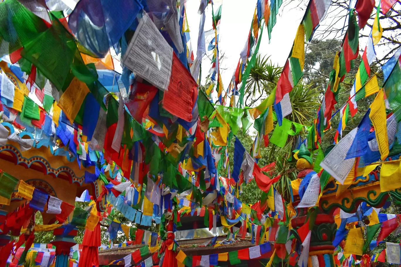 Photo of Pelling By Amarpreet