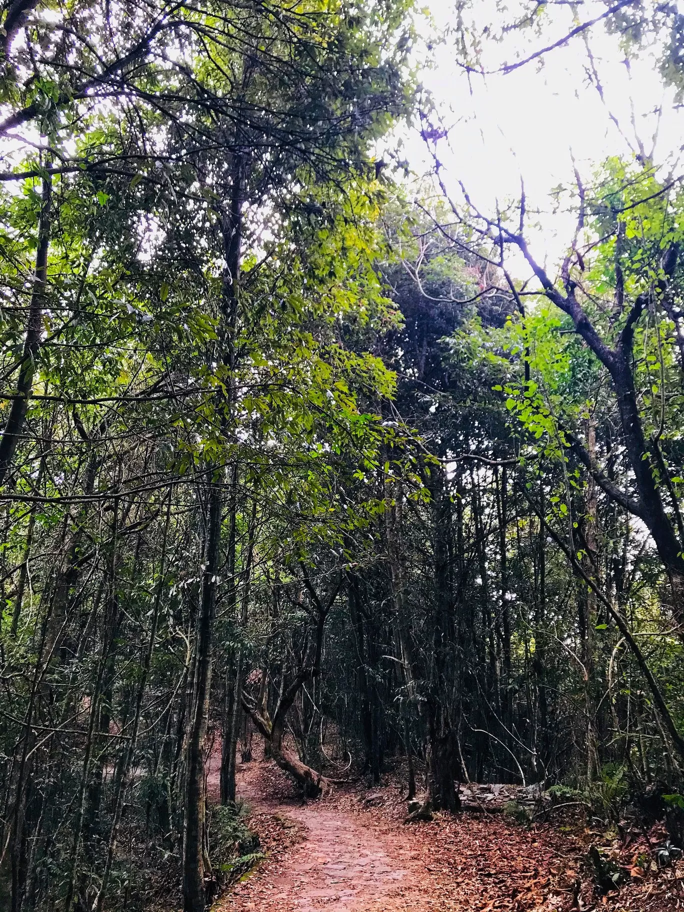 Photo of Pelling By Amarpreet