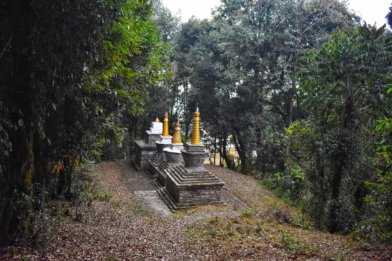 Photo of Pelling By Amarpreet