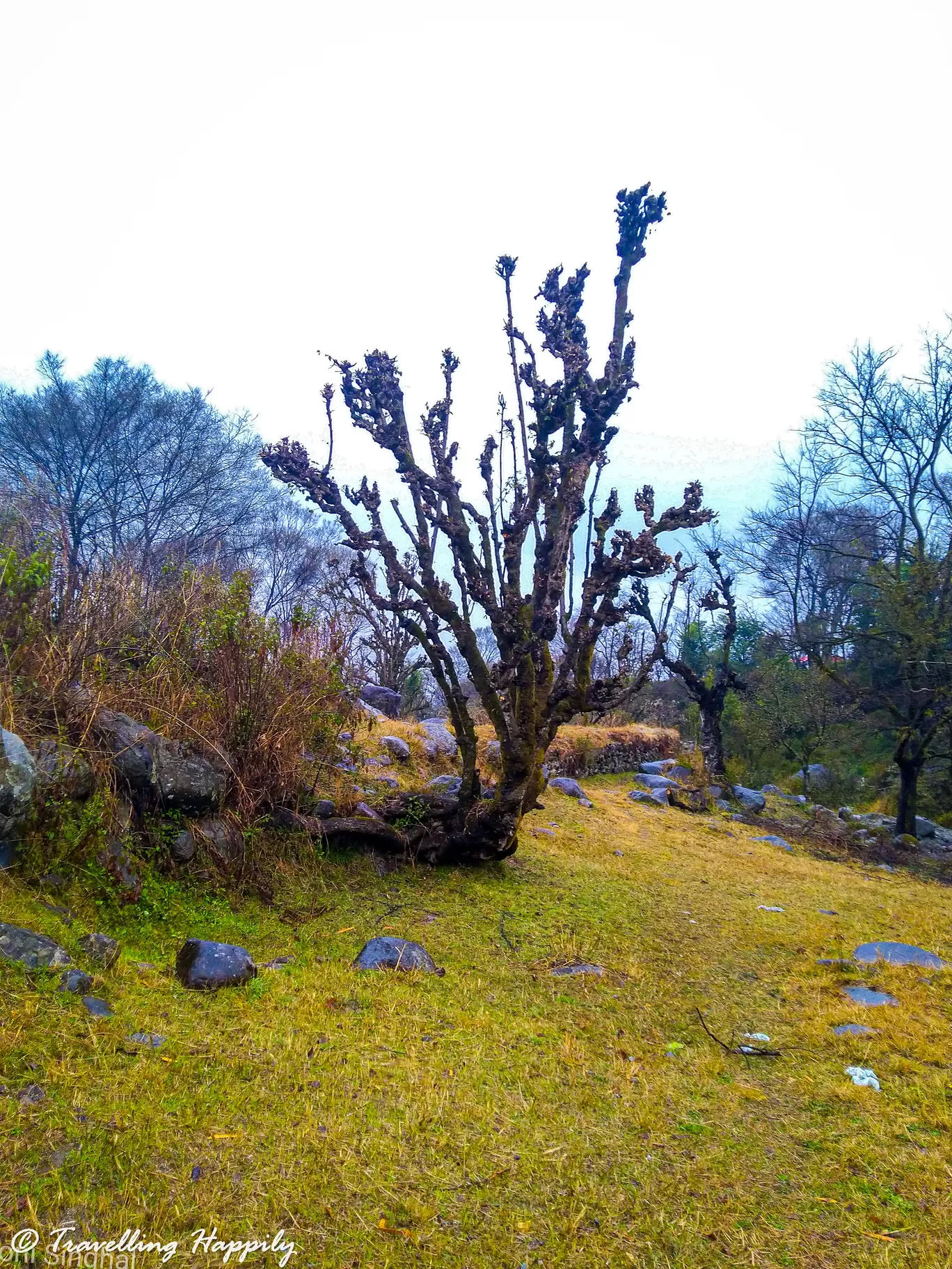 Photo of Bir Billing By Travelling Happily