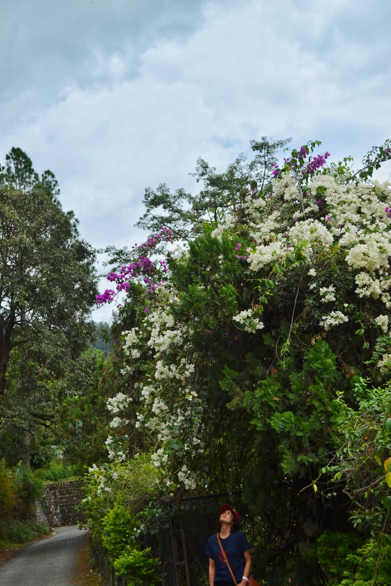 Photo of Naukuchiatal By Diksha Bhandari