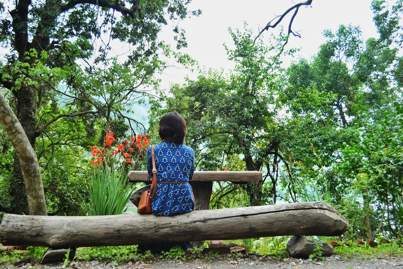 Photo of Naukuchiatal By Diksha Bhandari