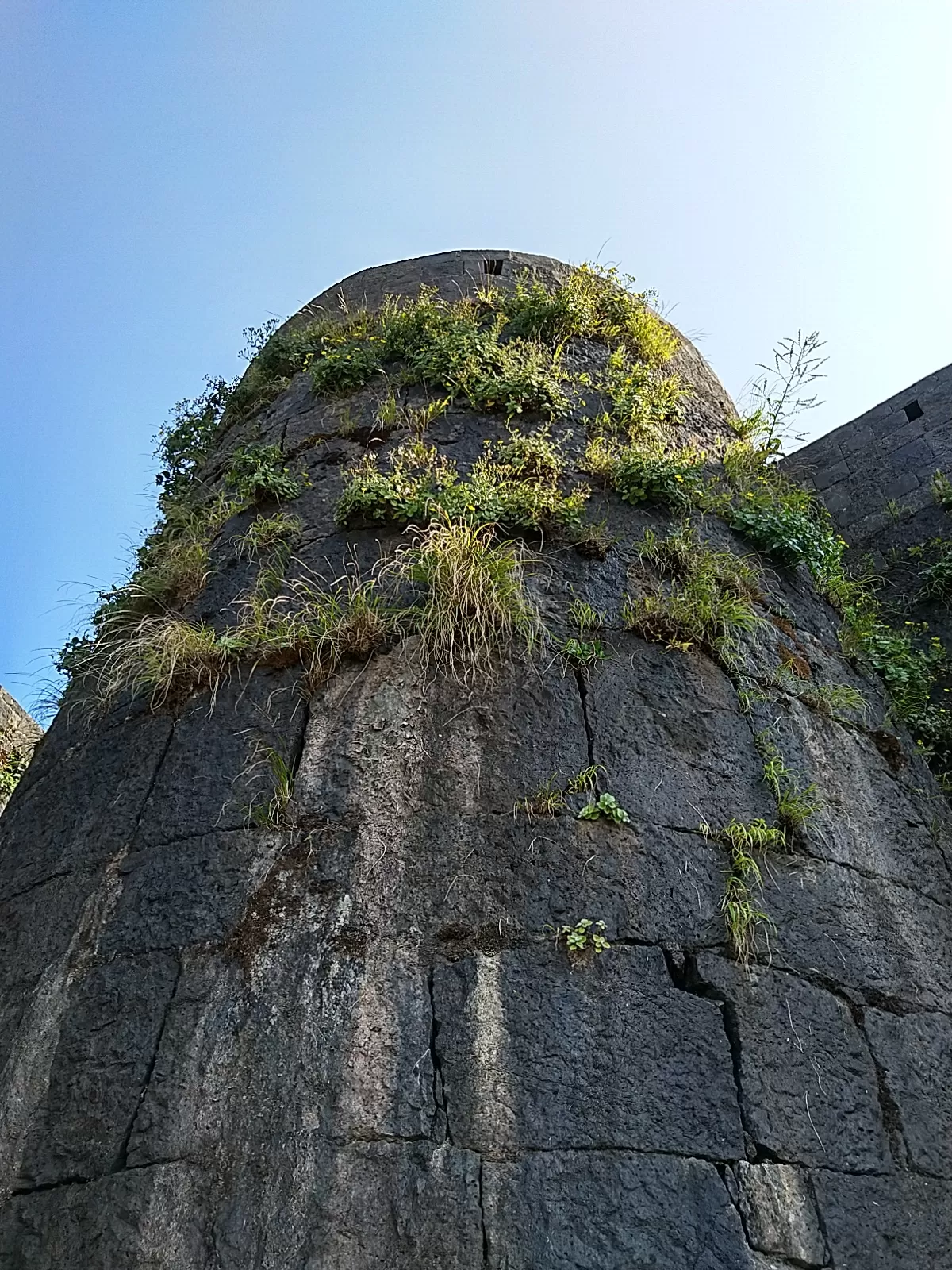 Photo of Torna Fort By Vishal H Malge
