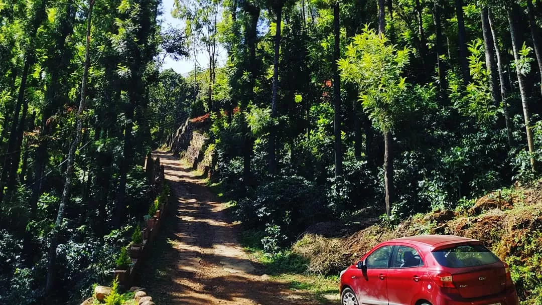 Photo of Chikmagalur By Naveen Goud