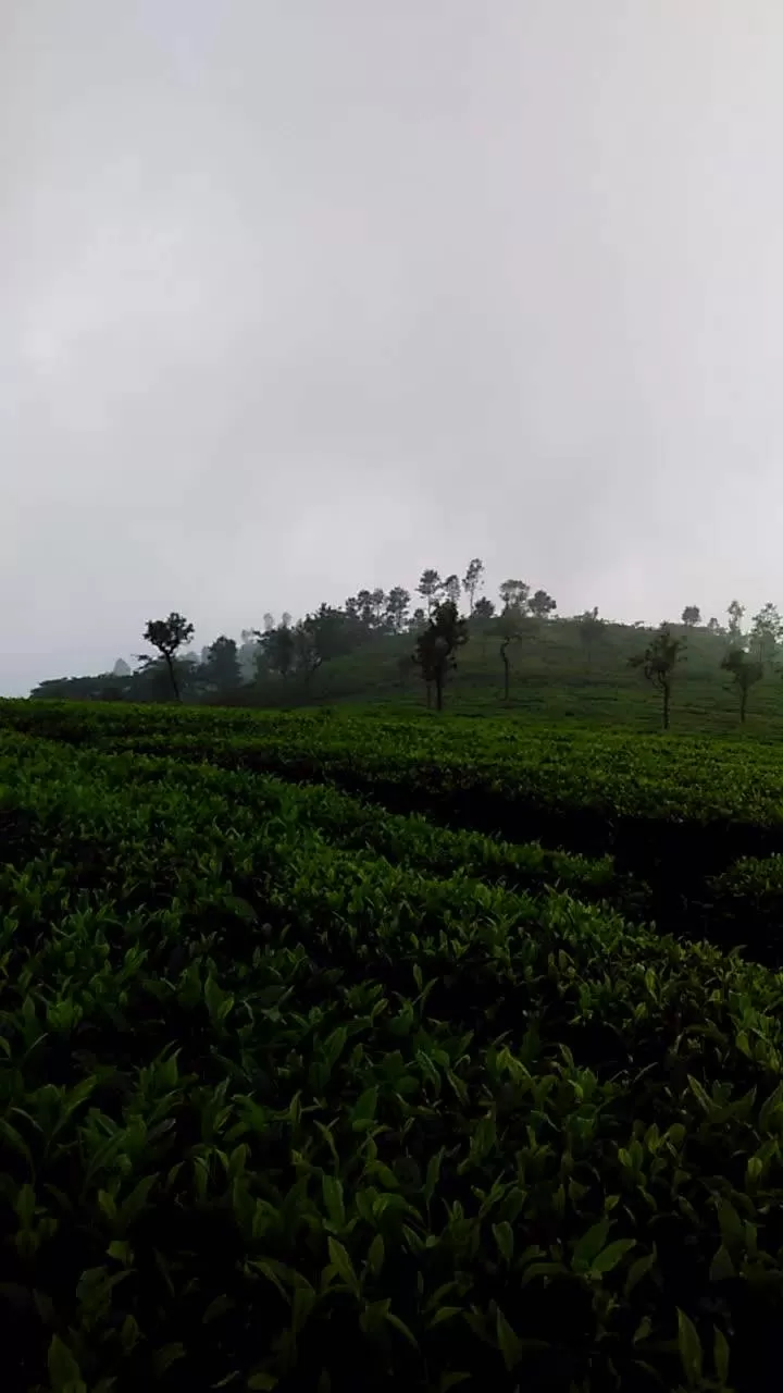 Photo of Ooty By Abhishek Keshri