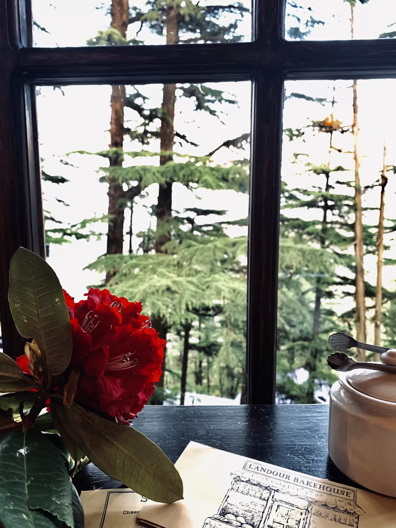 Photo of Mussoorie By Geetanjali Bhandari