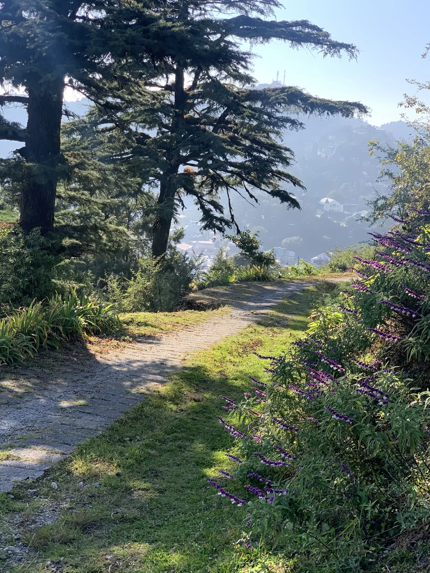 Photo of Mussoorie By Geetanjali Bhandari