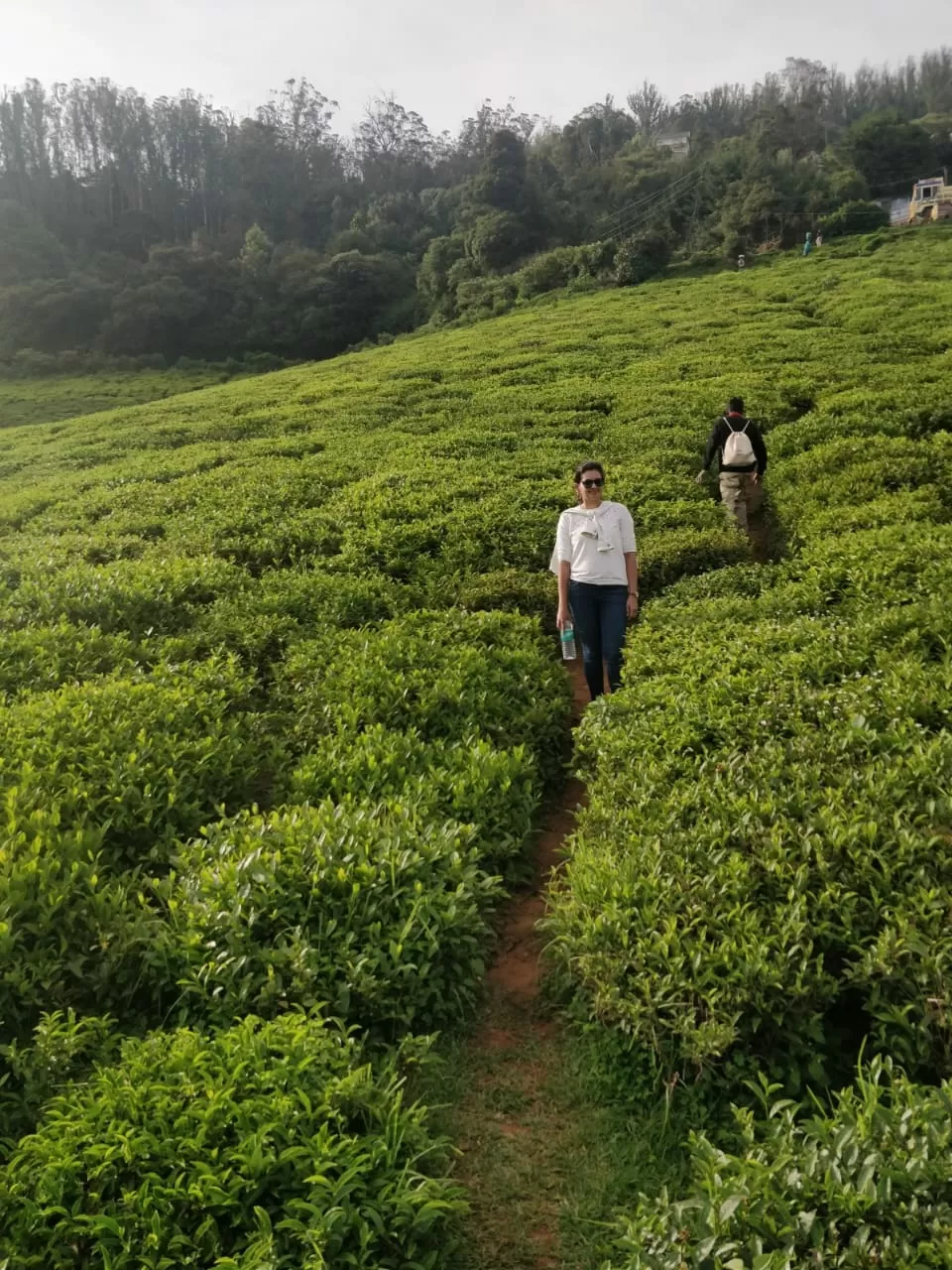 Photo of Ooty By Kanika Mittal